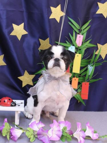 20230707大福くん